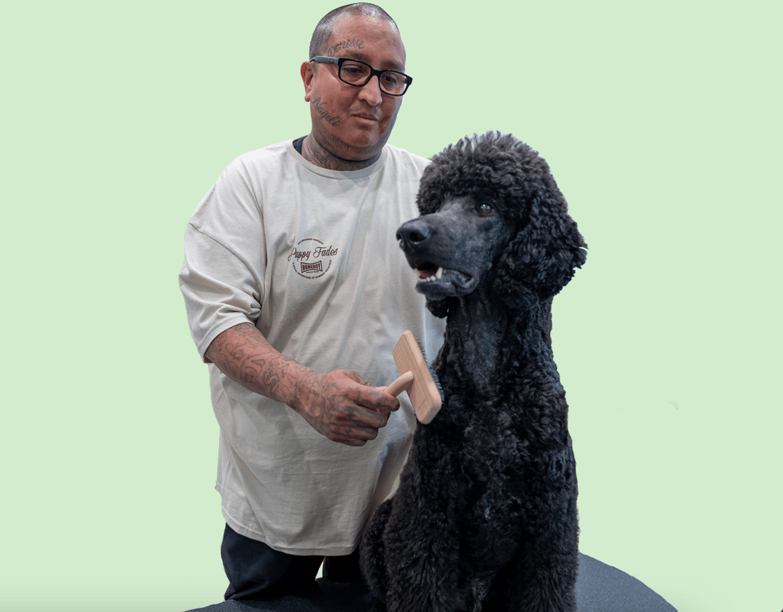 Puppy Fades